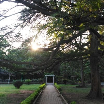 Book Club meeting every month at Cubbon Park, Bangalore🌴📚 Check our pinned tweet to join our WhatsApp group 🦋