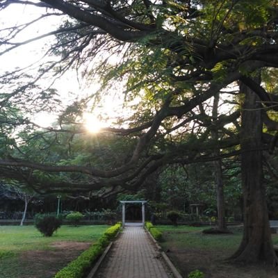 Book Club meeting every month at Cubbon Park, Bangalore🌴📚  Check our pinned tweet to join our WhatsApp group 🦋