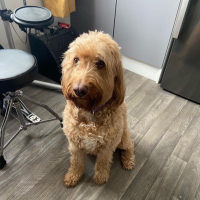 D65983583Andrea's profile picture. 