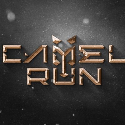 run_camel Profile Picture