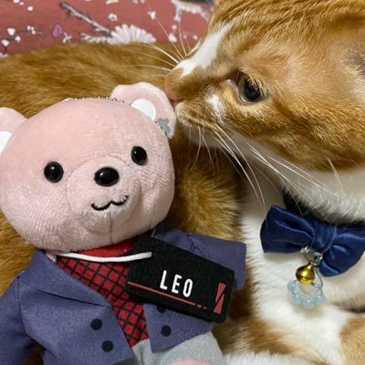 埼玉東部Besty🦁/🧢寄りの📦・🏢推し BESTY大好き♡229/4・’231/26・3/11,12・5/27・7/17・9/24・11/4・12/20・'242/3・3/2・5/5•7/4•7/15•9/15•9/21•9/23・11/26・25'1/8・1/9