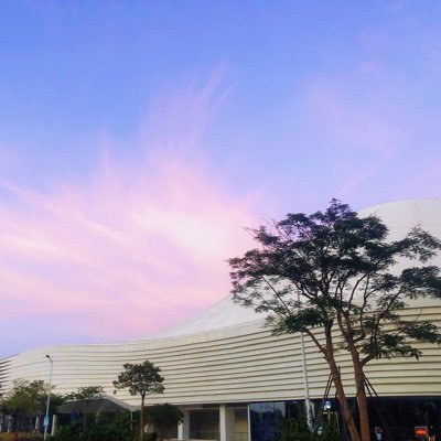 aid33238's profile picture. XXOO