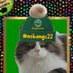 Luke Cool Paws (@luke_paws) Twitter profile photo Luke Cool Paws (@luke_paws) Twitter profile photo