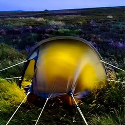 WildCampingFun Profile Picture