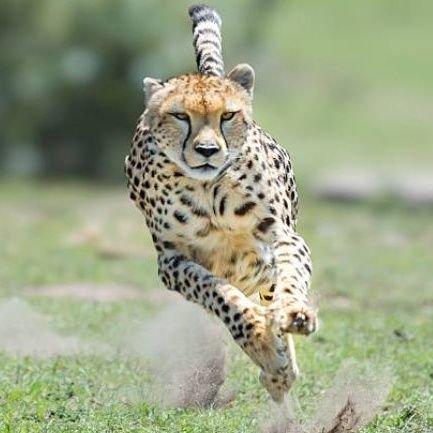 KofPas's profile picture. Gender and Literature scholar.