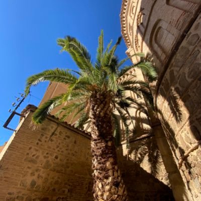 Mark_O_Private's profile picture. Bureaucracy survivor.