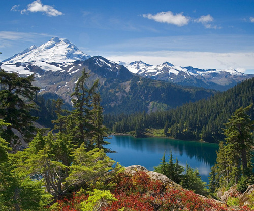 TLT1123's profile picture. 