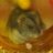 ka21yu's profile image