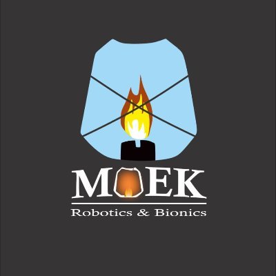 MoekProf's profile picture. I Build and teach Artificial Intelligence for Robotics