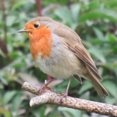 JottleArt's profile picture. 