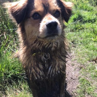 lisawil17288051's profile picture. FPL &Sky FF (RIP) TFF enthusiast , film lover and book addict ⚽️📚🎬🍿