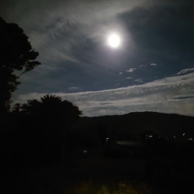 3Q2FGSOxP1ZmSdY's profile picture. 