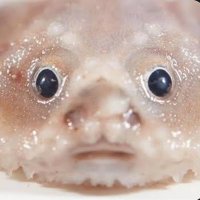 Smooth 09 (Interesting...) (@smoothbrain109) 's Twitter Profile