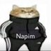 Gereksiz Haberler (@sacmanews) Twitter profile photo Gereksiz Haberler (@sacmanews) Twitter profile photo
