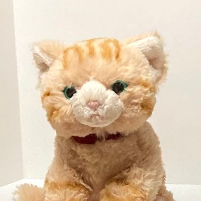 haru_maru22's profile picture. Twitter初心者です。無言フォロー&リツイート失礼します🙏 エロ・副業系NG…怪しいアカウントはブロック。 障がいがあり車椅子ユーザーですが、家族でB'zファン♪ アニメ（ガンダムSEED、ポケモン、ゆるキャン△）が好き。猫、ぬいぐるみ、AIペットロボットにも興味あり 時々ぬい撮りツイートをするかも😊