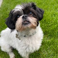 Carmen Stafford (@carmens02203518) 's Twitter Profile Photo Carmen Stafford (@carmens02203518) 's Twitter Profile Photo