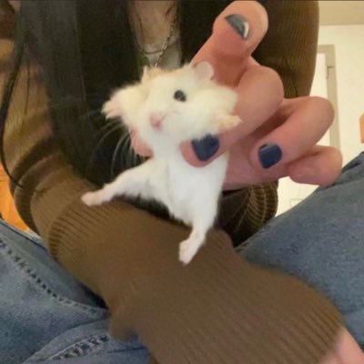 kさんのプロフィール画像