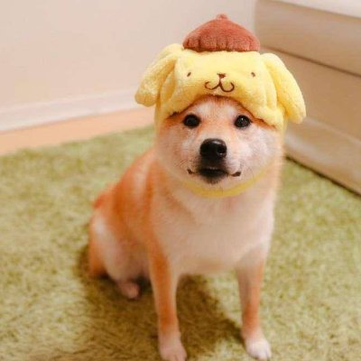 ChinaYouth1921's profile picture. 