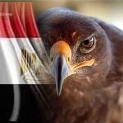 noramahmoud8's profile picture. لا اله إلا أنت سبحانك إني كنت من الظالمين
عندما يكون المستهدف وطن ...
 يصبح الحياد خيانة 
👌👌👌