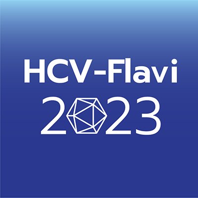 HCVFlavi2023 Profile Picture