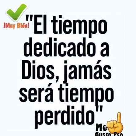 Salvato92592167's profile picture. 