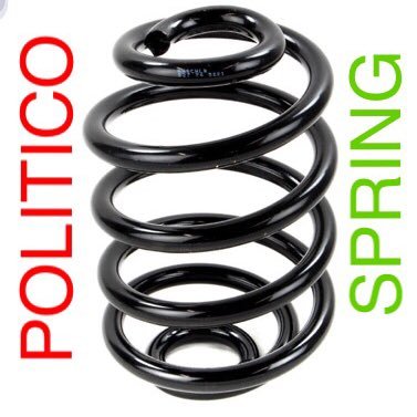 POLITICOSPRING Profile Picture