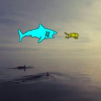 Crypto dive®odri-ju@n(@charluki88) 's Twitter Profile Photo