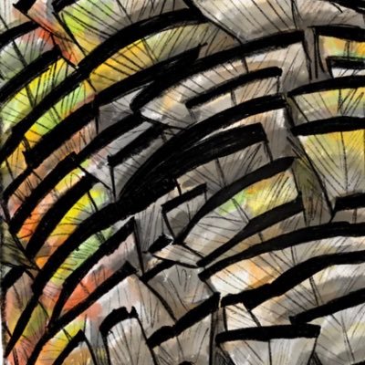 W_Schaefer1's profile picture. 