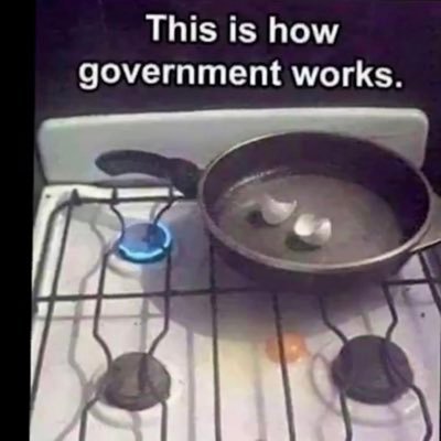 N0b0dy__Cares_'s profile picture. PUREBLOOD - that’s all you need to know 😎