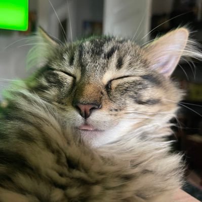 aleshax1's profile picture. Mommy. Reader. Writer. Gamer. Dreamer. I like cats.