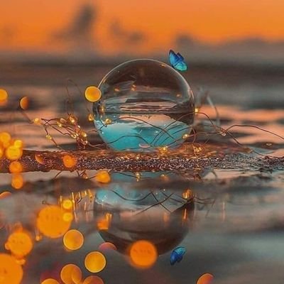 AjanEesar's profile picture. 