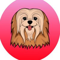 Apsocoin V2.0 soon #BEREADY 👀 🐶 (@apsocoin) 's Twitter Profile Photo Apsocoin V2.0 soon #BEREADY 👀 🐶 (@apsocoin) 's Twitter Profile Photo