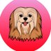 Apsocoin V2.0 soon #BEREADY 👀 🐶 Profile picture