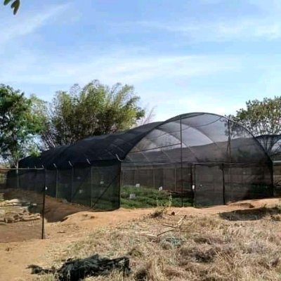 Supply of Hdpe pipes,Fittings,Greenhouse polythene,Nets Bird Insect & Shade Net,Damliners  Sprinklers seller in Africa & East Africa
