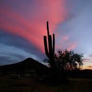 Zoe Martin💙☮️☀️🌵 Profile