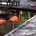 Anne Steele - @annepsteele - Twitter