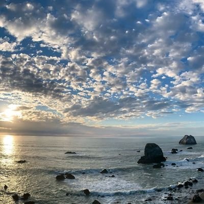 IncisiveThought's profile picture. Infrequent tweeter.