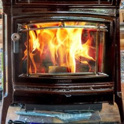 Clover29683176's profile picture. 