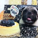 Fanny Cheung - @fannyping - Twitter