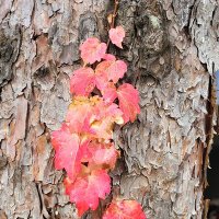 더불어 박현규 (@sunpark1101) 's Twitter Profile Photo