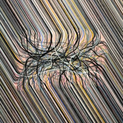 shady_vc's profile picture. things i’m into