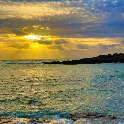 Si vous ressentez de la douleur, vous êtes vivant, si vous ressentez la douleur des autres, vous êtes un être humain. (Léon Tolstoï) Je suis un être humain.