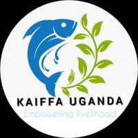 Kaiffa Uganda🇺🇬 (@kaiffau) 's Twitter Profile