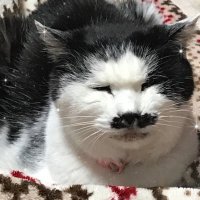 ゆめこ🌰 (@yumeko_n0912) 's Twitter Profile