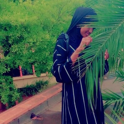 AminadaudAbdi1's profile picture. 