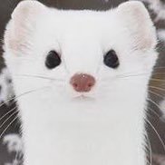 ぉこぢょさんのプロフィール画像