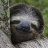 filipsobol's profile picture.