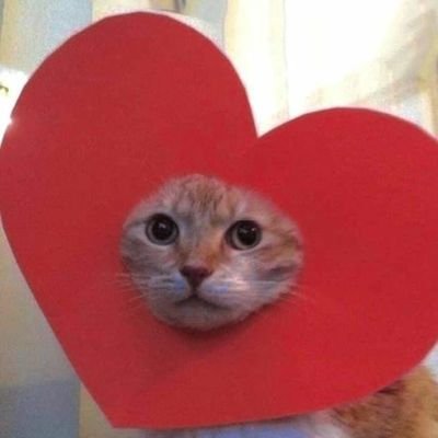 sistemfunny's profile picture. pega seu café e cigarro 🚬