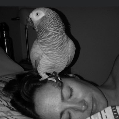 PepperAnn0518's profile picture. 