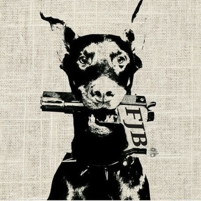 SulfuricAssKid's profile picture. Austere religious scholar. Bonus hole enjoyer. Abolish the ATF.